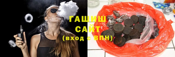 дмт Бородино