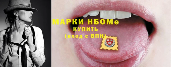 дмт Бородино