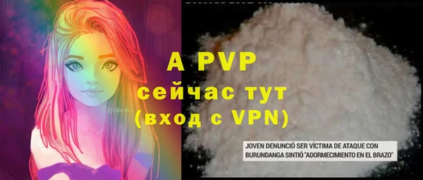 дмт Бородино