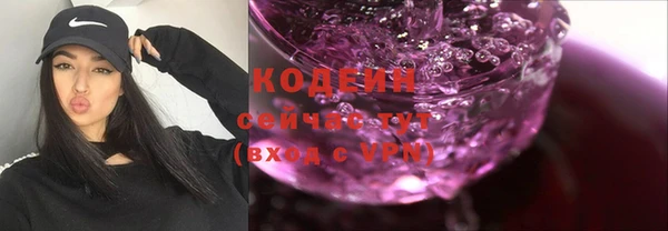 дмт Бородино