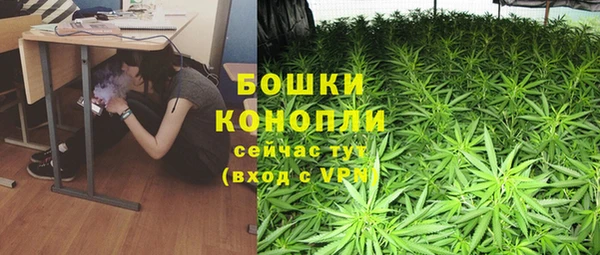 дмт Бородино