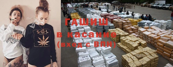 хмурый Магас
