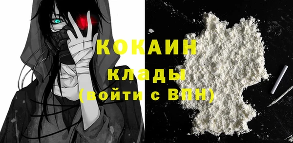 дмт Бородино