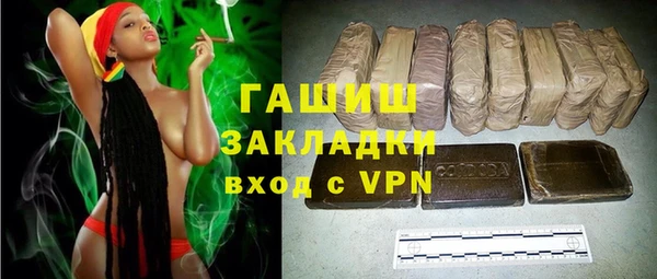 дмт Бородино
