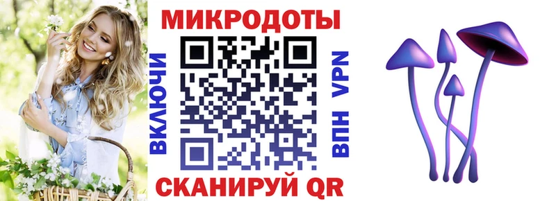 shop клад  Велиж  Галлюциногенные грибы MAGIC MUSHROOMS  где найти  