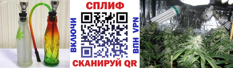 МАРИХУАНА семена  закладки  Велиж 